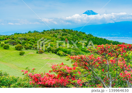 【静岡県】山ツツジが美しい金冠山、海越しの富士山 【静岡県】山ツツジが美しい金冠山、海越しの富士山 139964630