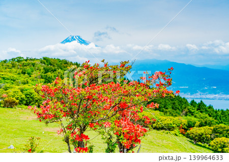 【静岡県】山ツツジが美しい金冠山、海越しの富士山 【静岡県】山ツツジが美しい金冠山、海越しの富士山 139964633
