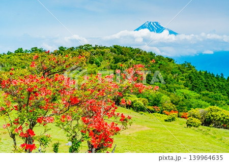 【静岡県】山ツツジが美しい金冠山、海越しの富士山 【静岡県】山ツツジが美しい金冠山、海越しの富士山 139964635