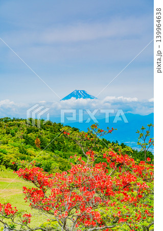 【静岡県】山ツツジが美しい金冠山、海越しの富士山 【静岡県】山ツツジが美しい金冠山、海越しの富士山 139964638