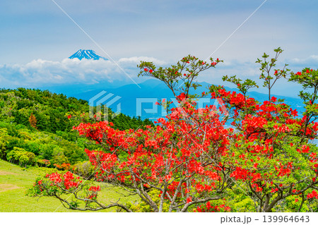 【静岡県】山ツツジが美しい金冠山、海越しの富士山 【静岡県】山ツツジが美しい金冠山、海越しの富士山 139964643