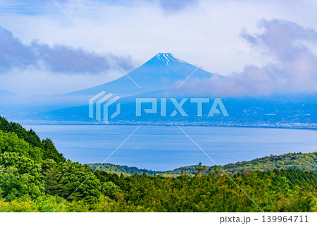 【静岡県】新緑の達磨山高原から望む駿河湾越しの富士山 【静岡県】新緑の達磨山高原から望む駿河湾越しの富士山 139964711
