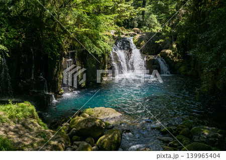 新緑の頃菊池渓谷の美しい風景 新緑の頃菊池渓谷の美しい風景 139965404