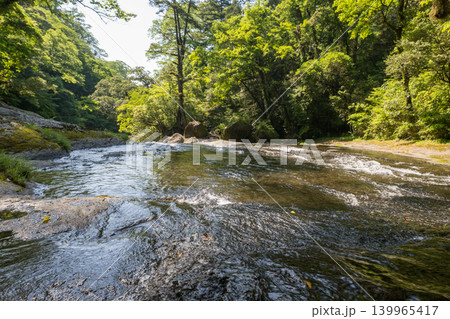 新緑の頃菊池渓谷の美しい風景 139965417