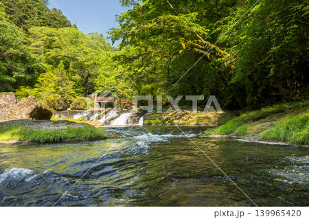 新緑の頃菊池渓谷の美しい風景 139965420