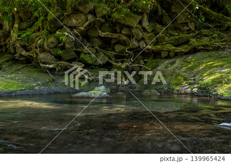 新緑の頃菊池渓谷の美しい風景 139965424