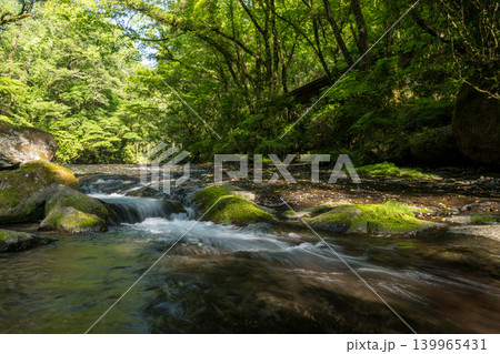 新緑の頃菊池渓谷の美しい風景 139965431
