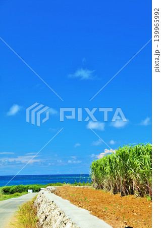 沖縄　夏の青空とさとうきび畑 139965992
