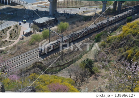 韓国 ソウル鷹峰山(ウンポンサン)に咲くケナリと京義線の電車 韓国 ソウル鷹峰山(ウンポンサン)に咲くケナリと京義線の電車 139966127