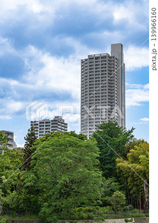 広島市の川辺の風景 京橋川沿いの風景 広島市の川辺の風景 京橋川沿いの風景 139966160