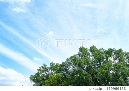 青空と雲イメージ 青空と雲イメージ 139966188