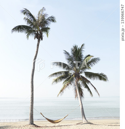 A bamboo hammock between lush green coconut trees on the beach by the sea. A bamboo hammock between lush green coconut trees on the beach by the sea. 139966747