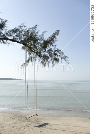 A wooden swing hanging under a pine tree on the beach by the sea. 139966752