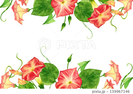 Watercolor rectangular frame of pink convolvulus flowers with green leaves. Everything is hand-painted in watercolor. For decoration of greeting cards, invitations, dishes. High quality illustration. Watercolor rectangular frame of pink convolvulus flowers with green leaves. Everything is hand-painted in watercolor. For decoration of greeting cards, invitations, dishes. High quality illustration. 139967146
