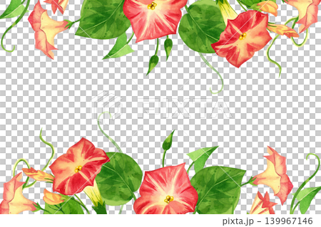 Watercolor rectangular frame of pink convolvulus flowers with green leaves. Everything is hand-painted in watercolor. For decoration of greeting cards, invitations, dishes. High quality illustration. Watercolor rectangular frame of pink convolvulus flowers with green leaves. Everything is hand-painted in watercolor. For decoration of greeting cards, invitations, dishes. High quality illustration. 139967146