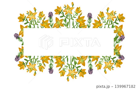 Watercolor frame with yellow Hypericum wort flowers and purple herbs. All objects are hand-painted in watercolor. Illustration for herbal tea packaging design or greeting card design. Watercolor frame with yellow Hypericum wort flowers and purple herbs. All objects are hand-painted in watercolor. Illustration for herbal tea packaging design or greeting card design. 139967182