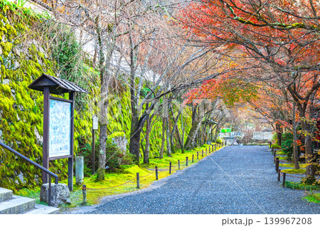 晩秋の京都 大原三千院 参道 晩秋の京都 大原三千院 参道 139967208