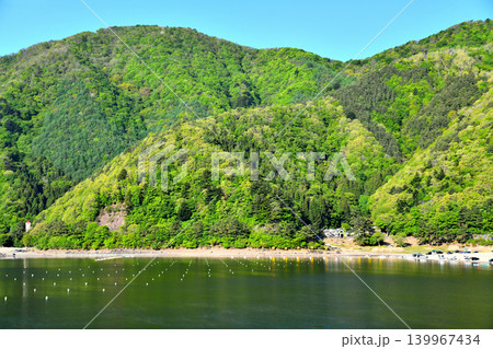 精進湖湖畔(山梨県富士河口湖町)【2026.5】 139967434