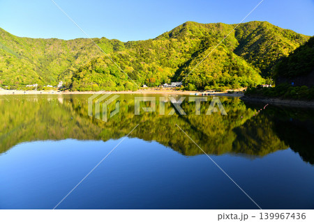 精進湖湖畔(山梨県富士河口湖町)【2026.5】 精進湖湖畔(山梨県富士河口湖町)【2026.5】 139967436