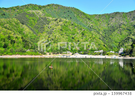 精進湖湖畔(山梨県富士河口湖町)【2026.5】 139967438