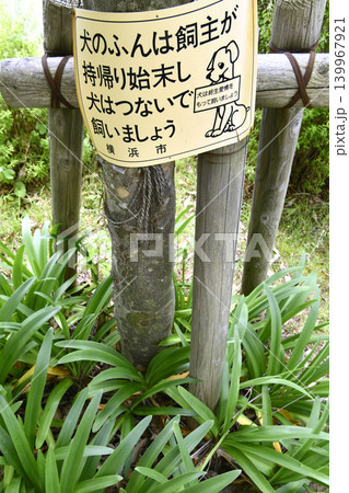 日本の横浜都市景観ガード？。ペットの散歩マナー…。犬のふんは飼い主が持ち帰り始末し犬はつないで… 139967921