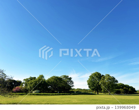 爽やかな青空の公園 爽やかな青空の公園 139968049
