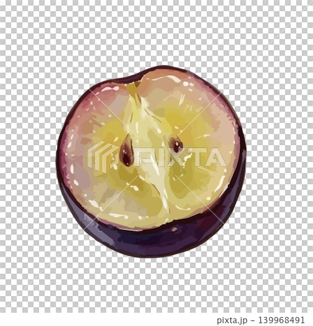 An illustration of grapes (Kyoho variety) with a juicy feel. 139968491