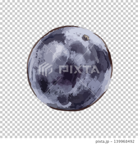 An illustration of grapes (Kyoho variety) with a juicy feel. An illustration of grapes (Kyoho variety) with a juicy feel. 139968492