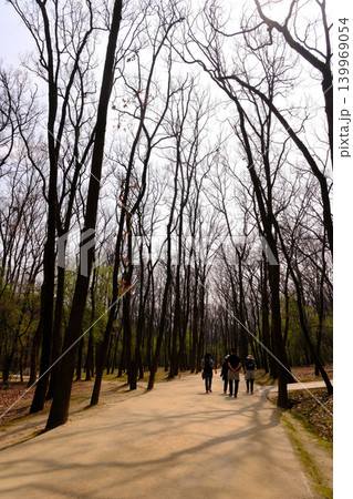 世界遺産 水原華城 西北空心墩 世界遺産 水原華城 西北空心墩 139969054