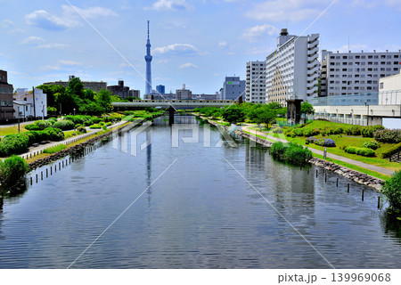 旧中川水辺公園周辺の紫陽花とスカイツリーの風景 旧中川水辺公園周辺の紫陽花とスカイツリーの風景 139969068