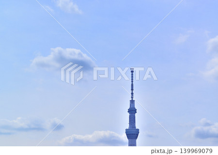 旧中川水辺公園周辺の紫陽花とスカイツリーの風景 旧中川水辺公園周辺の紫陽花とスカイツリーの風景 139969079