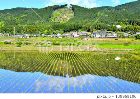 富士宮市上柚野の風景(静岡県富士宮市)【2026.5】 139969106