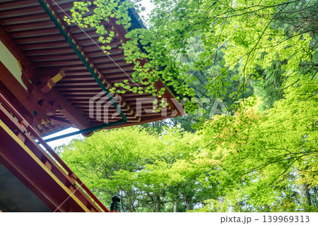 比叡山 横川中堂にて 比叡山 横川中堂にて 139969313