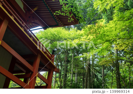 比叡山　横川中堂にて 139969314