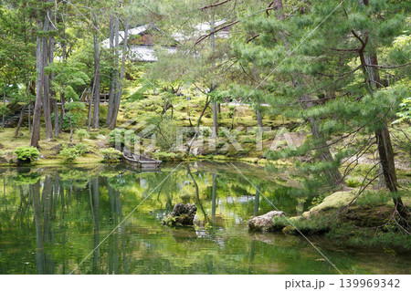苔寺の新緑 139969342