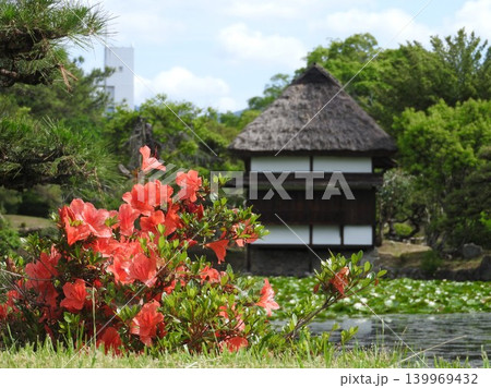 岡山県津山市にある回遊式日本庭園「衆楽園」：ツツジの向こうに風月軒 139969432