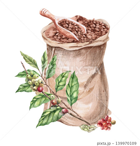 A bag of coffee beans, a wooden shovel, and branches of ripening coffee. This isolated watercolor illustration is suitable for cafe design, postcards, packaging, magazines, and branding. 139970109