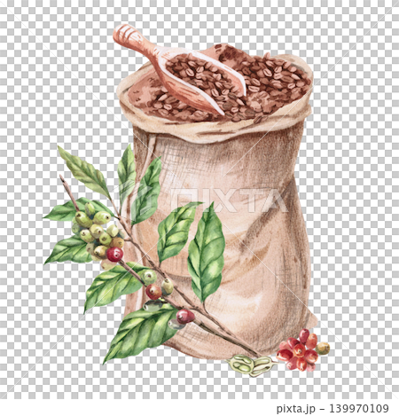 A bag of coffee beans, a wooden shovel, and branches of ripening coffee. This isolated watercolor illustration is suitable for cafe design, postcards, packaging, magazines, and branding. 139970109