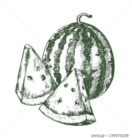 Juicy watermelon. Vector illustration in vintage sketch style. 139970206