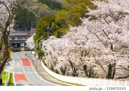 埼玉県・秩父市 荒川沿いの桜 139970243