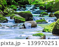 苔生える渓流 139970251