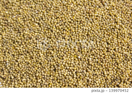 It is a close-up of the collected millet. It is a close-up of the collected millet. 139970452