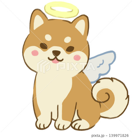 天使な柴犬 天使な柴犬 139971826