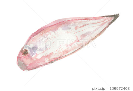 舌平目の水彩イラスト 139972408