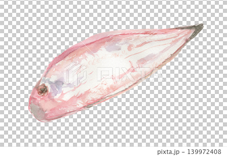 舌平目の水彩イラスト 139972408