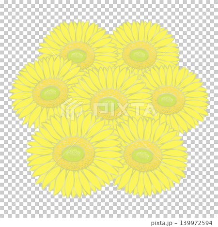 Illustration of sunflower Illustration of sunflower 139972594