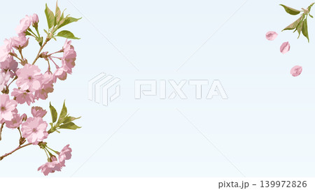 桜のフレームと舞い散る花びらの春の背景イラスト 桜のフレームと舞い散る花びらの春の背景イラスト 139972826