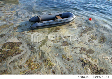 Contaminated sea 139973023