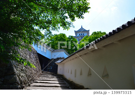 姫路城　登城道 139973315