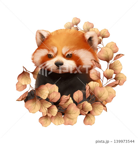 Cute hand drawn red panda with autumn leaves nursery illustration Cute hand drawn red panda with autumn leaves nursery illustration 139973544